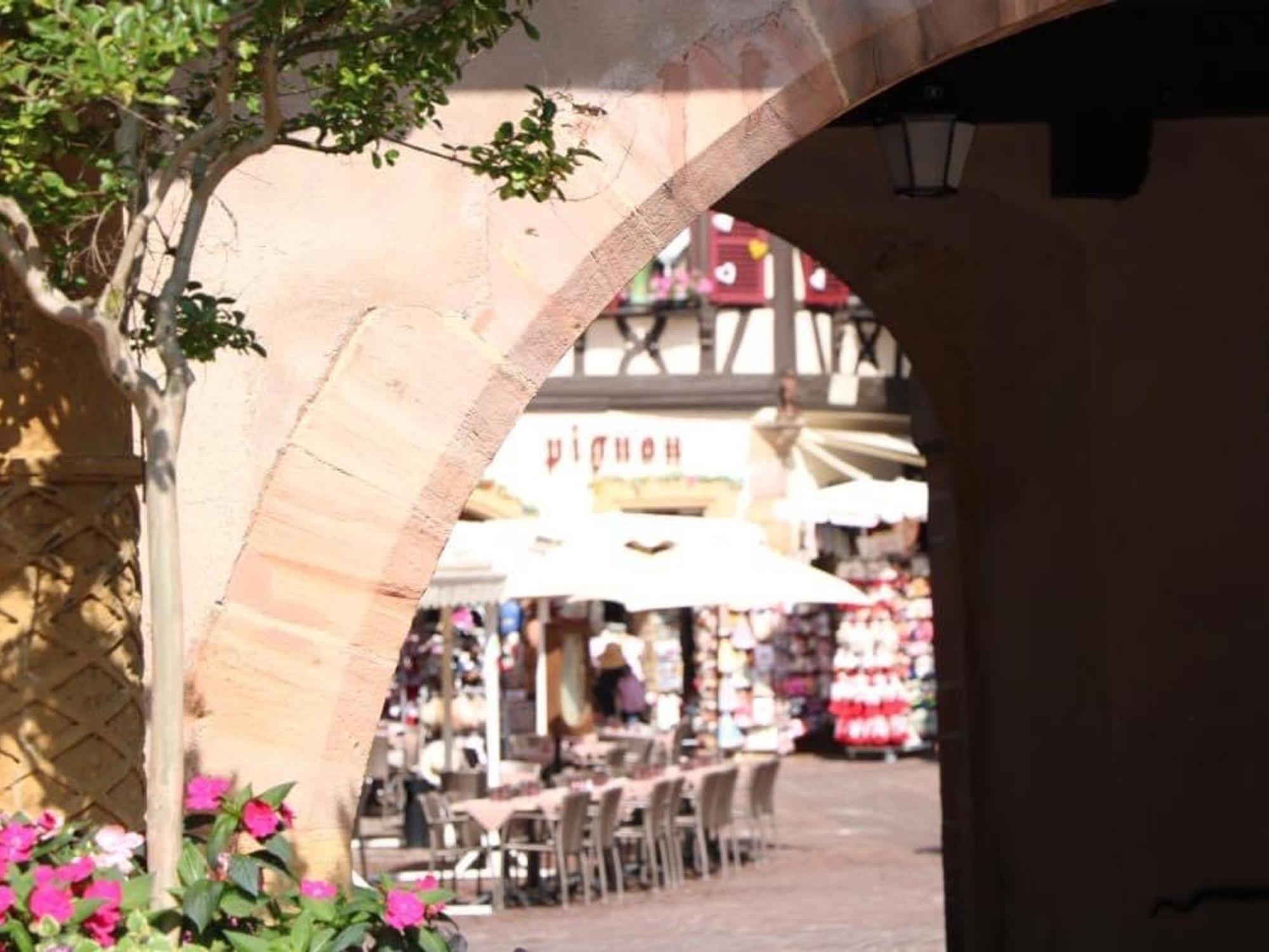 Charmant Appart Avec Garage Et Terrasse Au Coeur De Colmar, Pres De La Route Des Vins D'Alsace - Fr-1-722-6 Εξωτερικό φωτογραφία